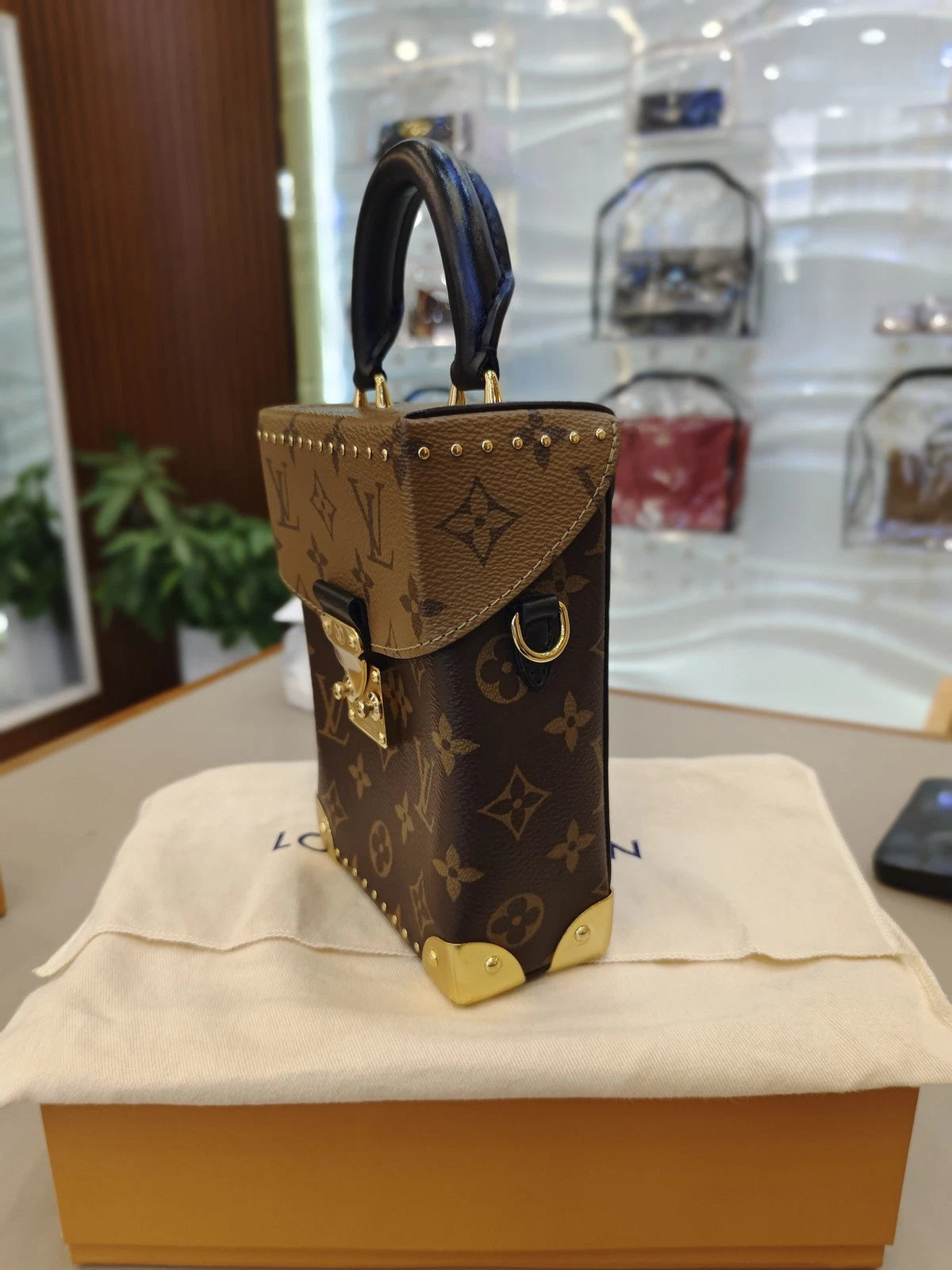 Louis Vuitton Monogram Canvas Camera Box Handbag For Women
