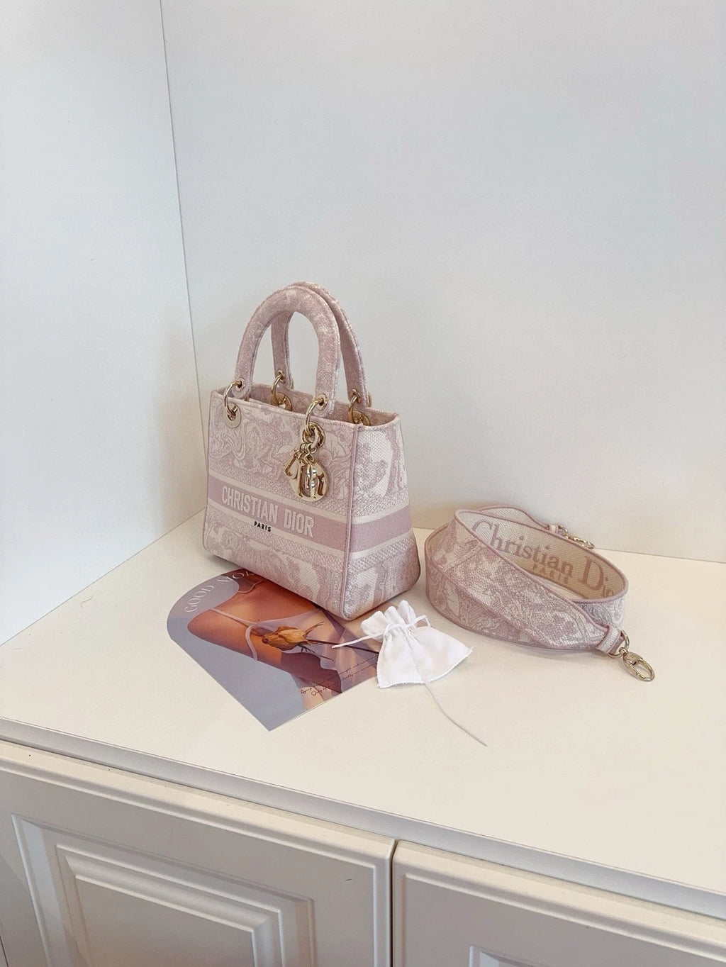 Dior Pink Canvas Embroidered Lady D-Lite Top Handle Bag Women