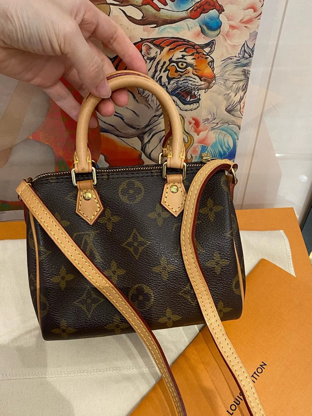 Louis Vuitton Monogram Canvas Speedy Nano Crossbody For Women