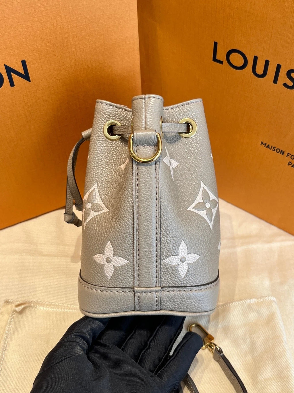 Louis Vuitton Canvas Nano Noe Gray Bucket Crossbody Bag For Women