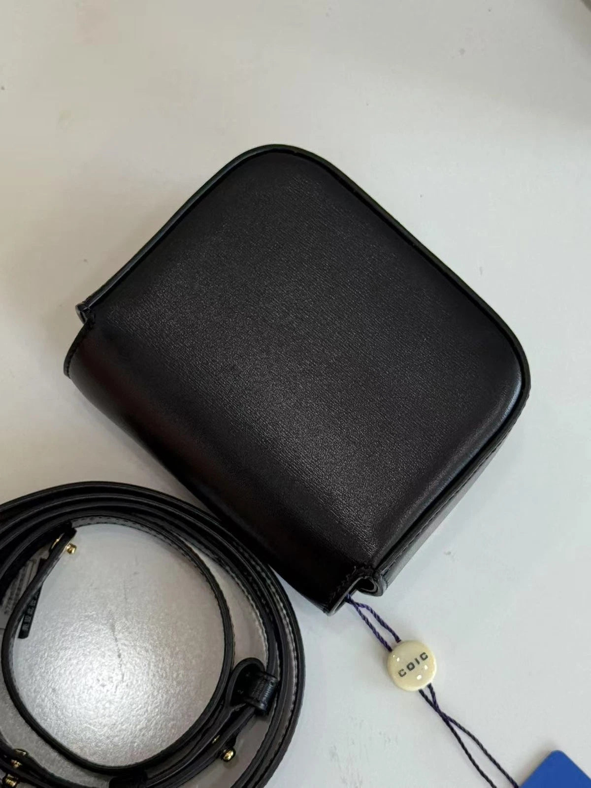 CELINE Triomphe Black Gold Mini Crossbody Bag For Women