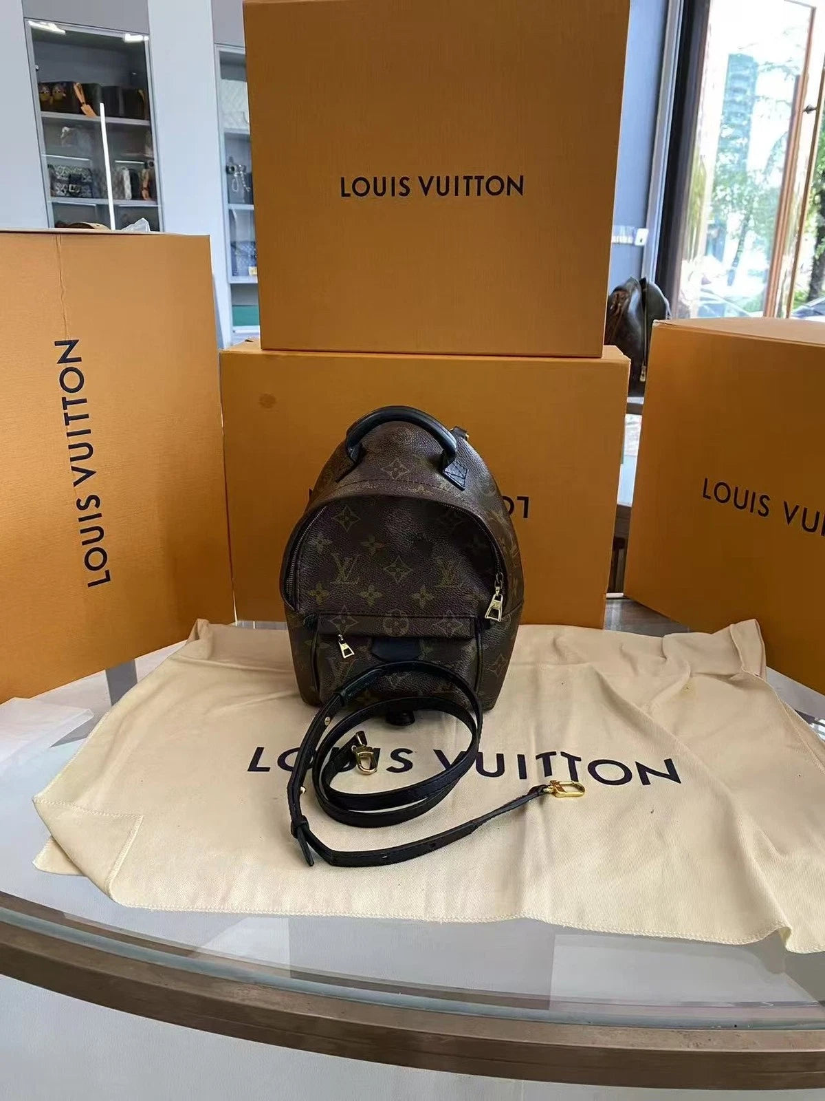 Louis Vuitton Monogram Canvas Palm Springs Mini Backpack