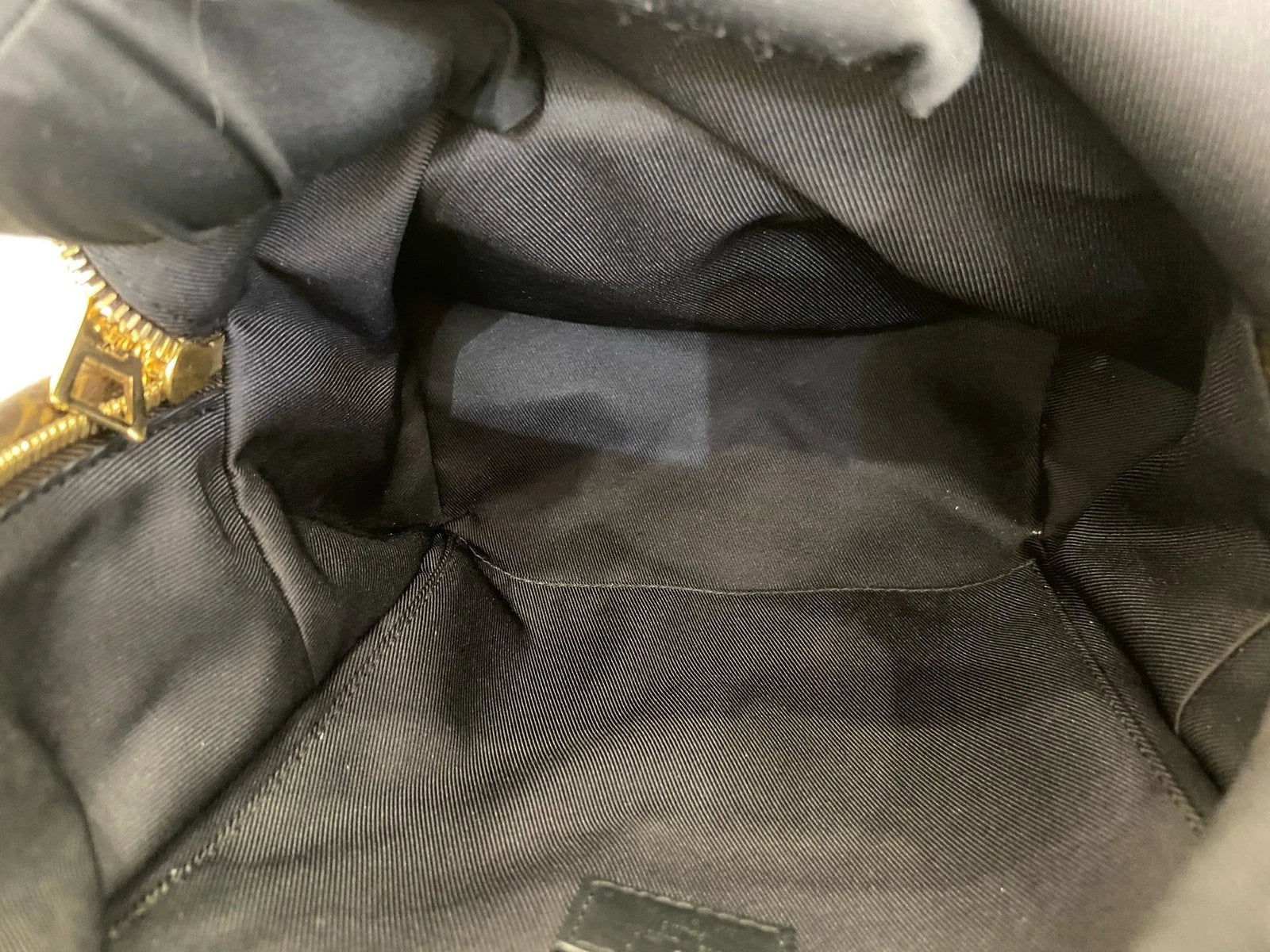 Louis Vuitton Palm Springs PM Monogram Backpack Brown Gold Unisex Adults Classic