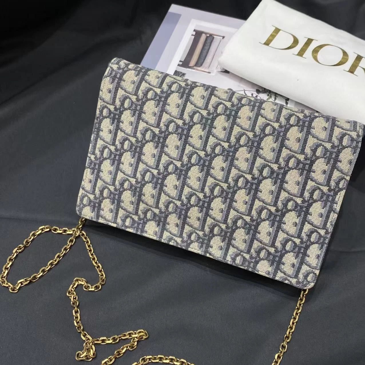 Dior Oblique Canvas Large WOC Crossbody Bag For Women