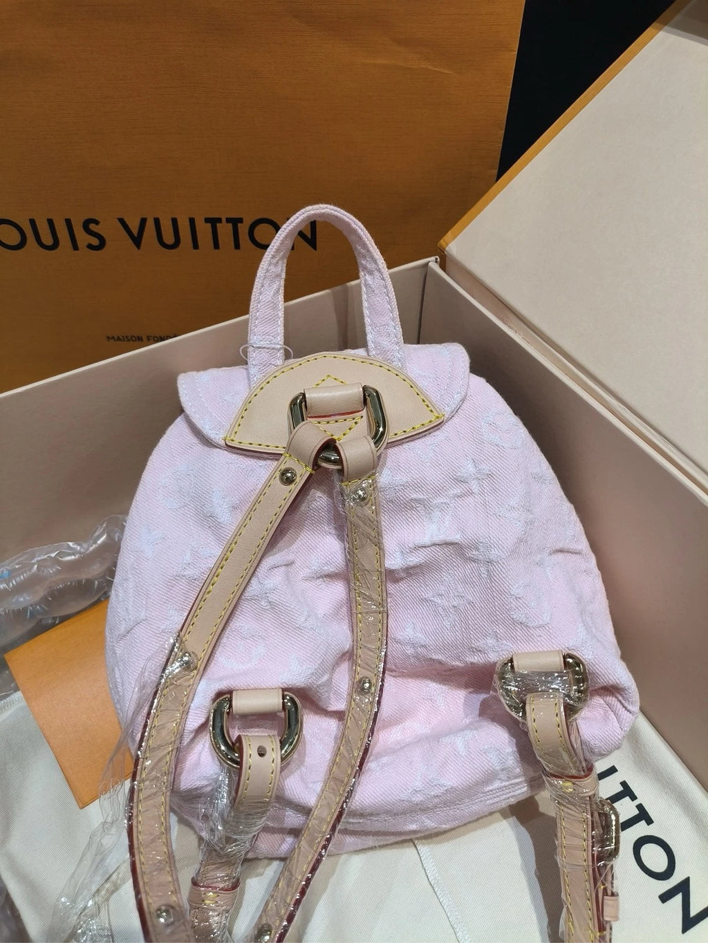 Louis Vuitton Venice Pink Denim Backpack for Women
