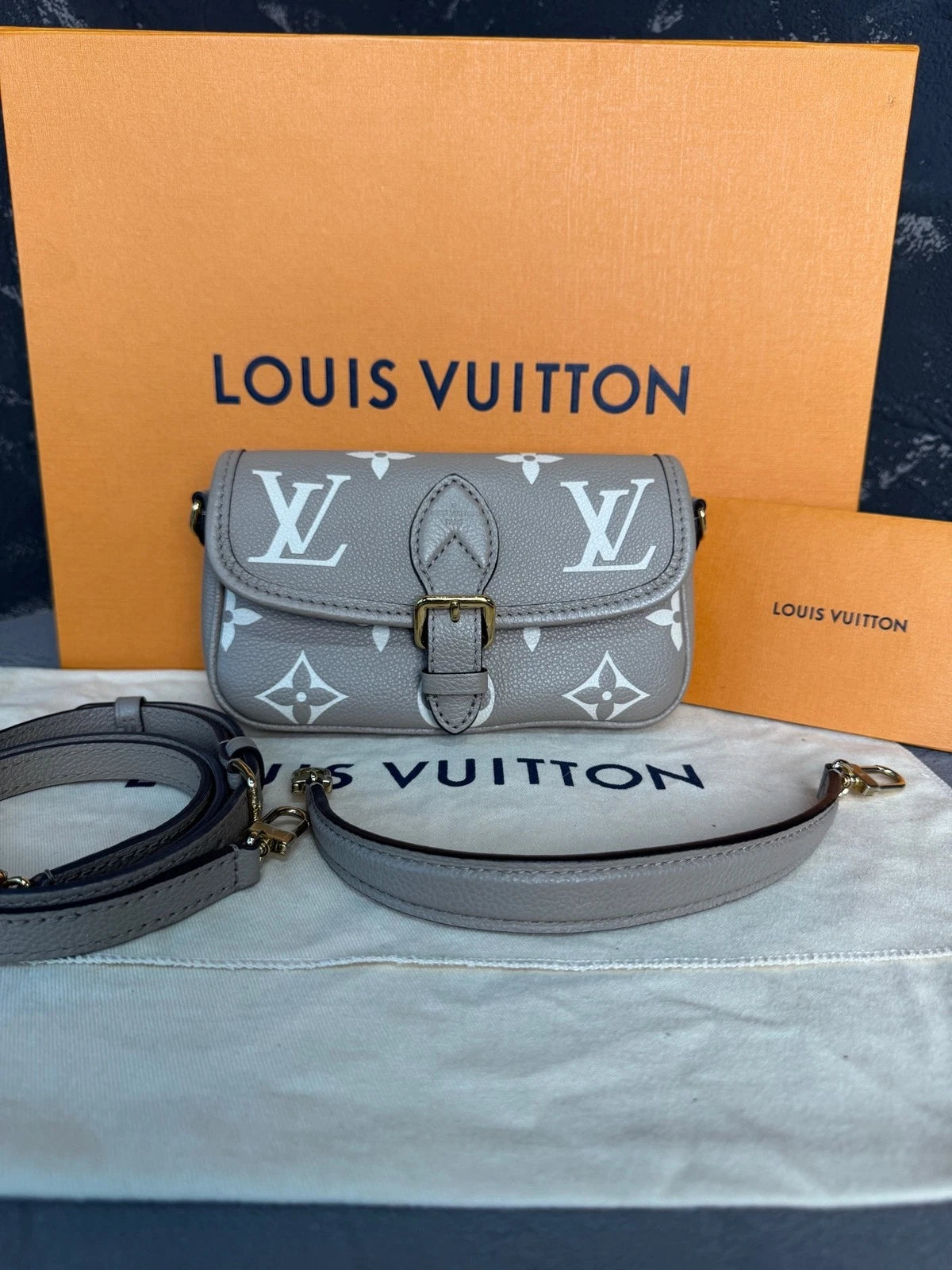 Louis Vuitton Nano Baguette Gray Leather Shoulder Bag For Women
