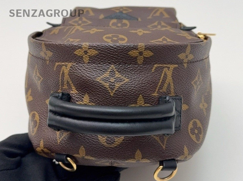 Louis Vuitton Palm Springs Monogram Backpack Women Brown