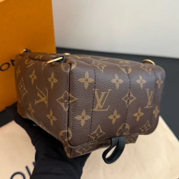 Louis Vuitton Palm Springs Mini Monogram Backpack Brown Gold Unisex Adults D