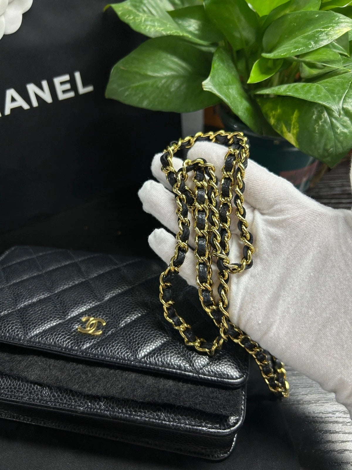 Chanel WOC Chain Shoulder Bag Black Gold Diamond Women Classic