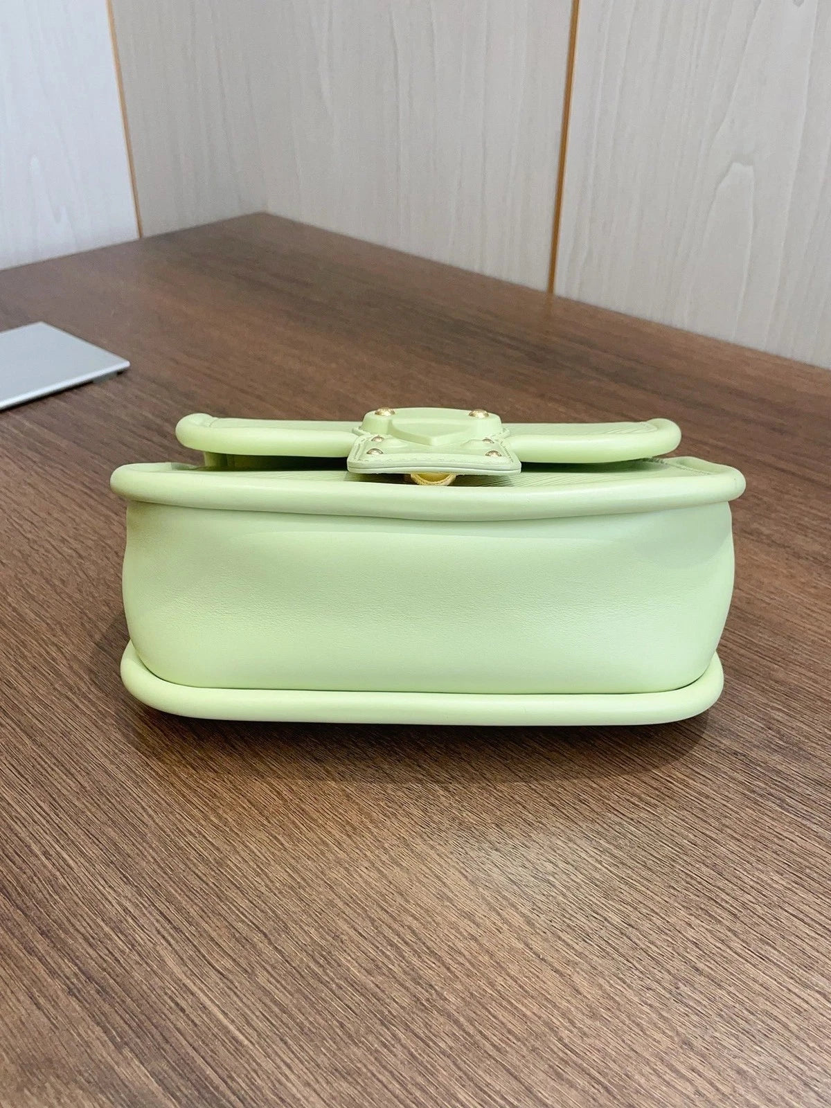 Louis Vuitton Hide And Seek Messenger Bag Daily Casual Avocado Green Epi