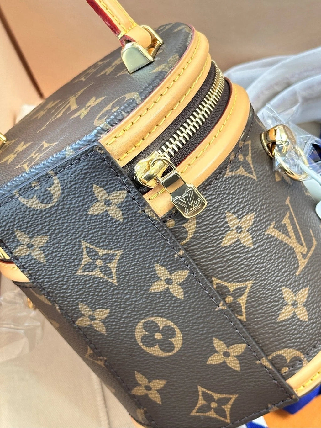 Louis Vuitton Cannes Monogram Canvas Mini Bucket Bag