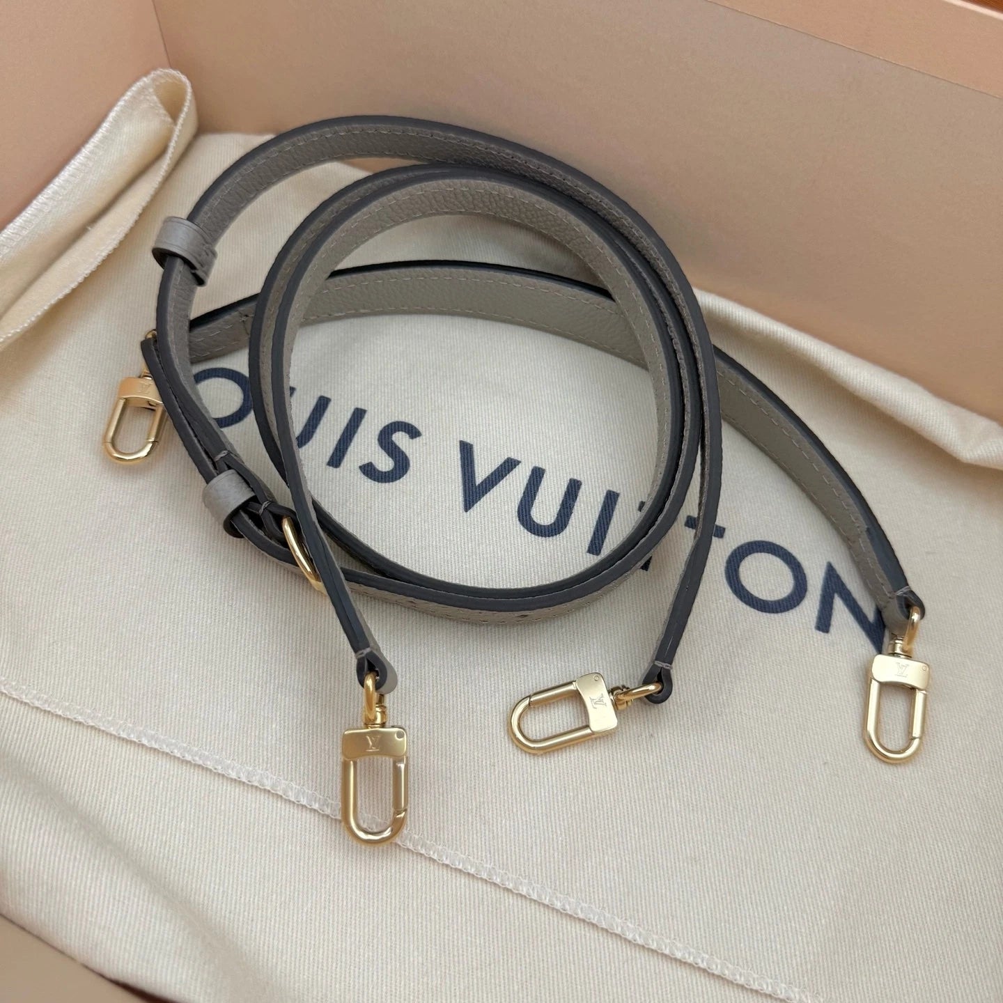 Louis Vuitton Diane Monogram Gray Shoulder Bag Excellent