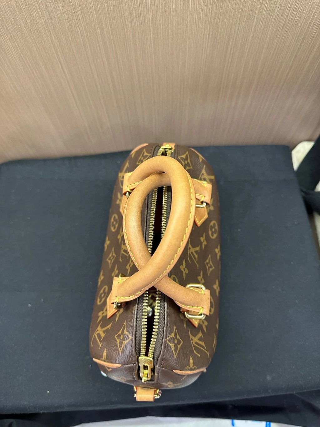 Louis Vuitton Speedy 20 Canvas Crossbody Bag For Women