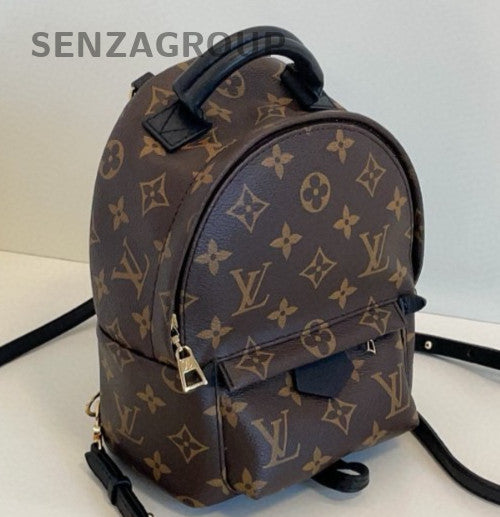 Louis Vuitton Palm Springs Monogram Mini Backpack Shoulder Bag Brown Women