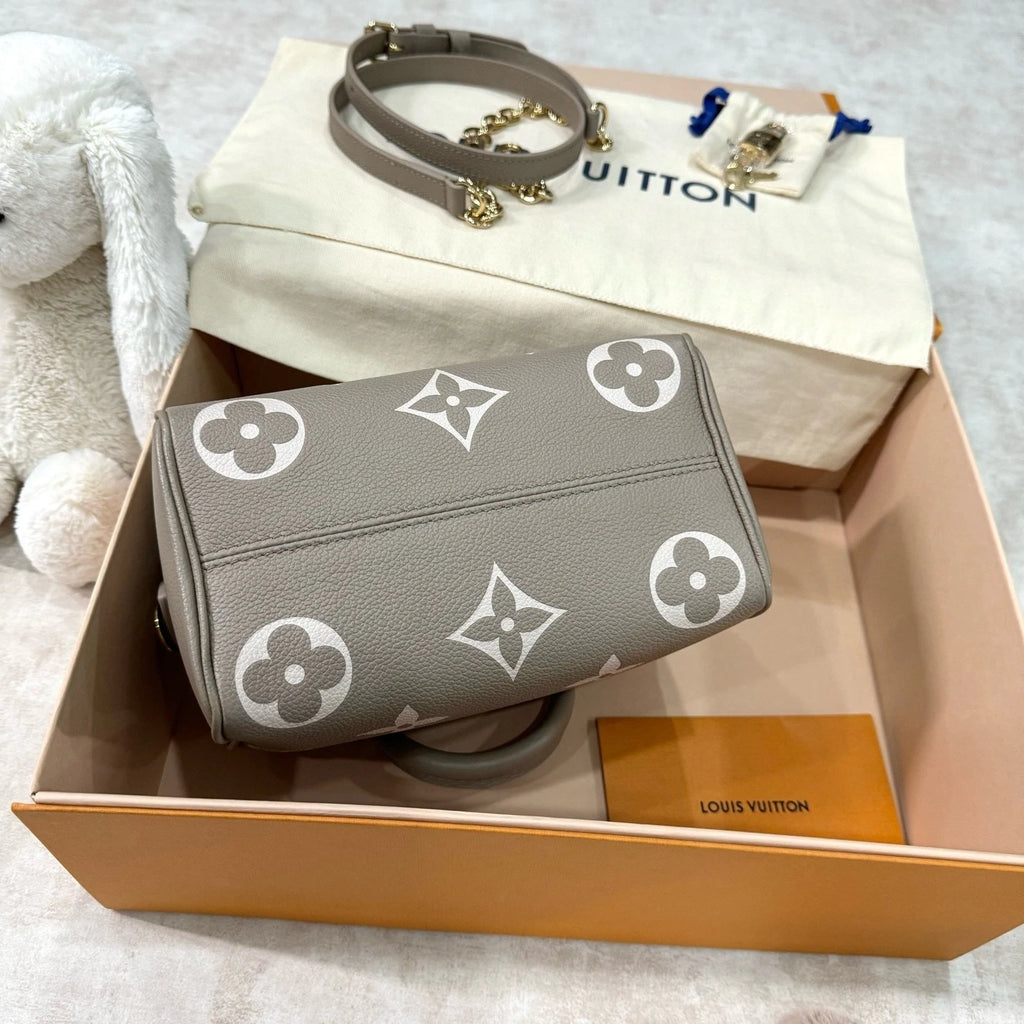 Louis Vuitton Speedy 20 Canvas Gray Handbag Top Handle Excellent