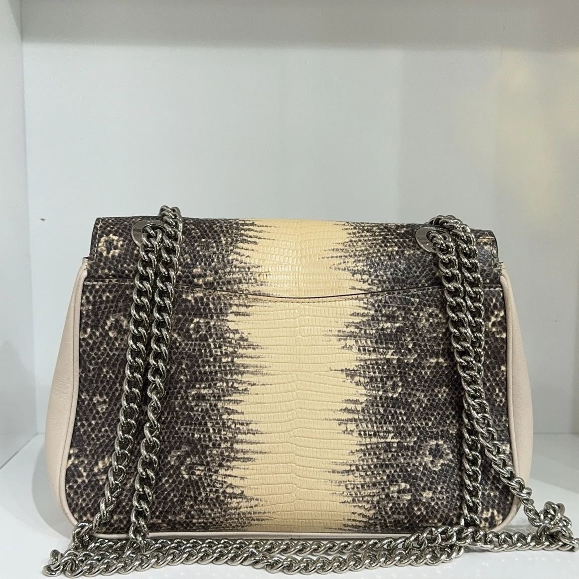 Coach 2019 Limited Lizard Pattern Chain Shoulder Crossbody Bag For Women