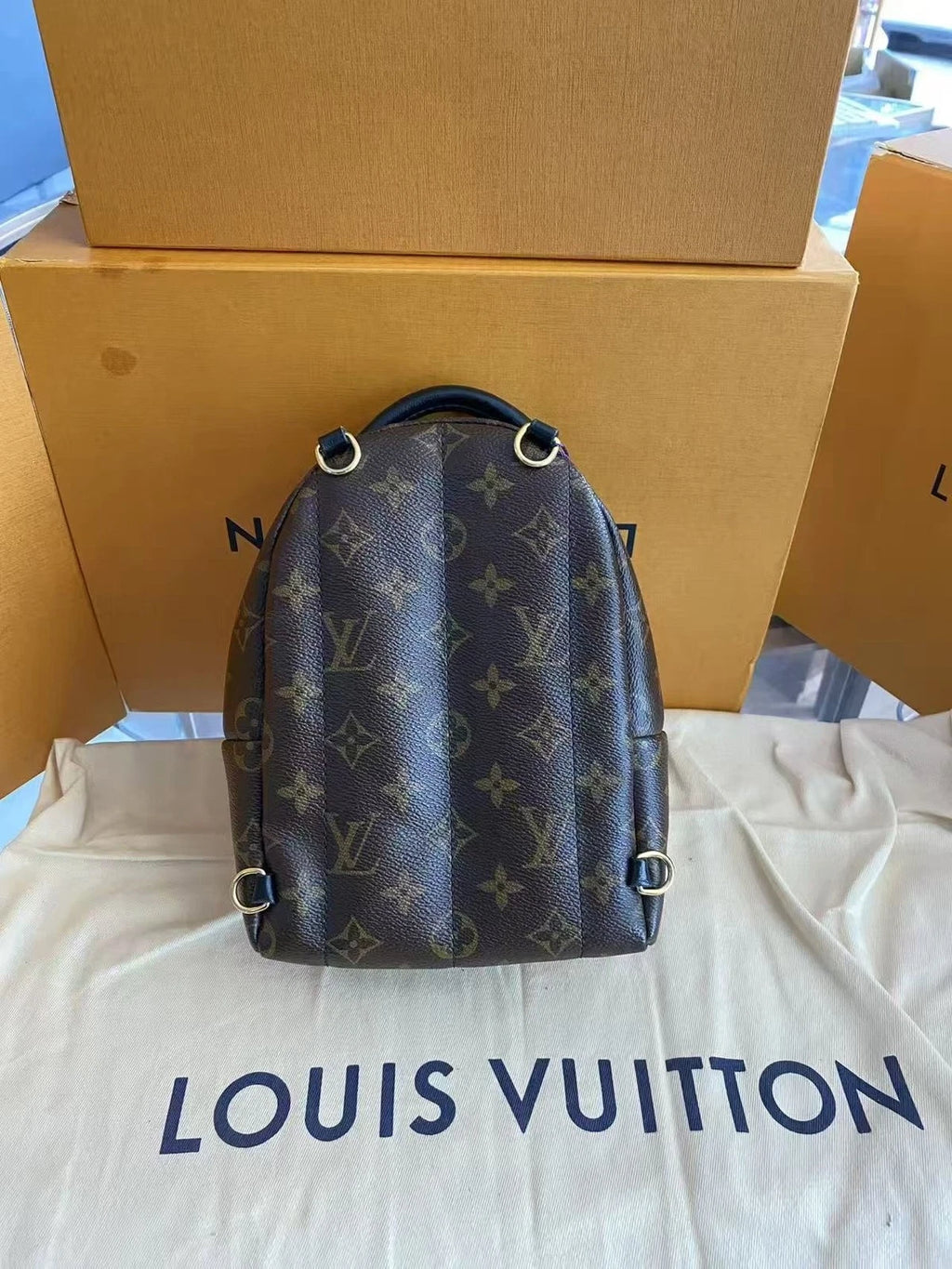 Louis Vuitton Monogram Canvas Palm Springs Mini Backpack