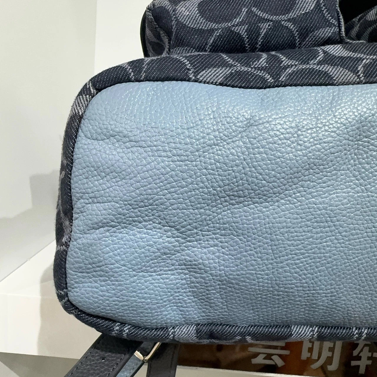Coach Blue Canvas Medium Backpack Handbag For Women