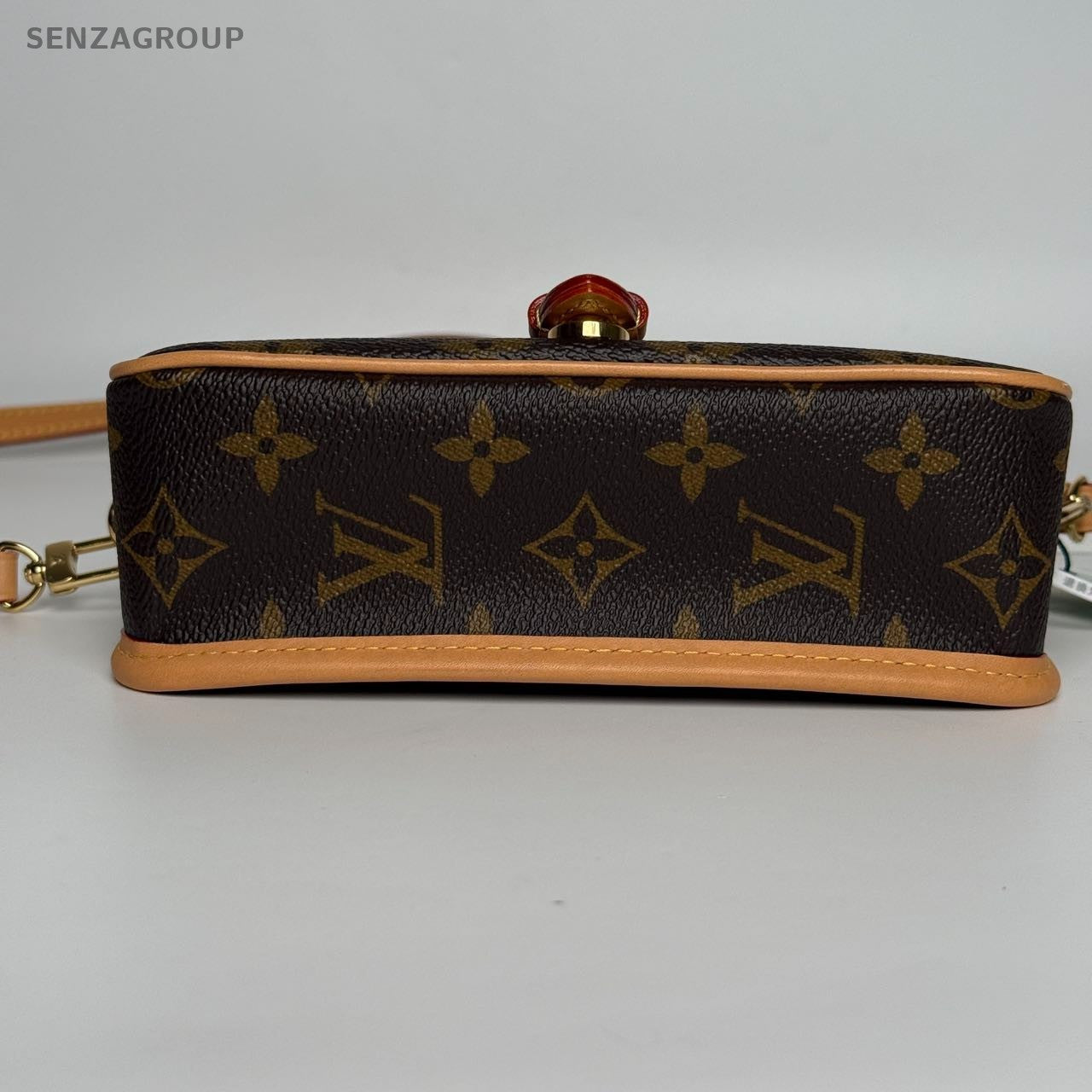 SJ0001 Louis Vuitton Diane nano bag