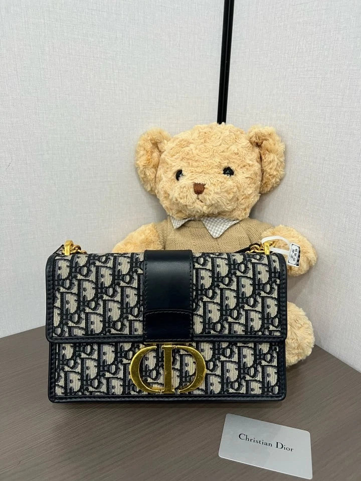 Dior Oblique Montaigne30 Medium Canvas Shoulder Bag For Women