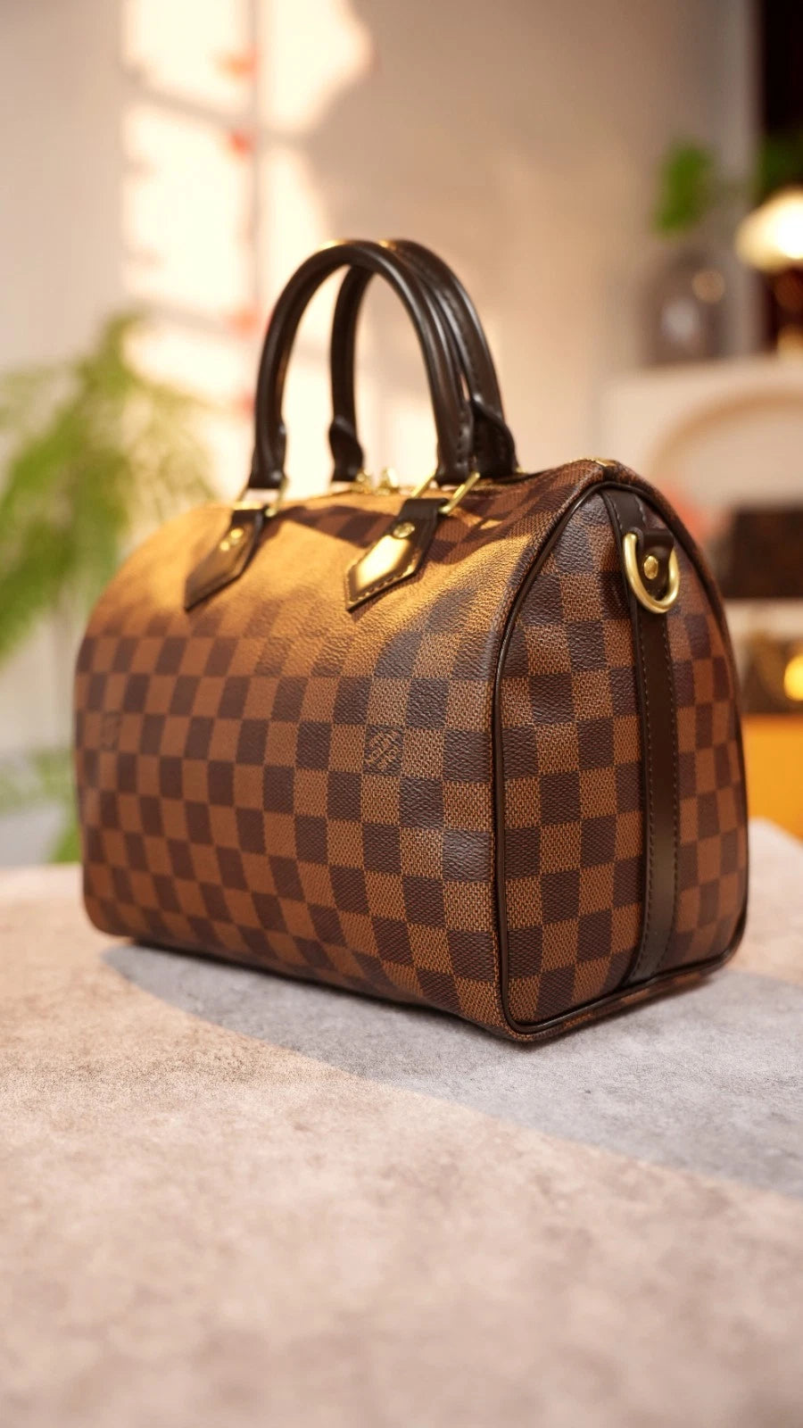 Louis Vuitton Speedy25 Damier Brown Shoulder Bag Top Handle Bag Excellent
