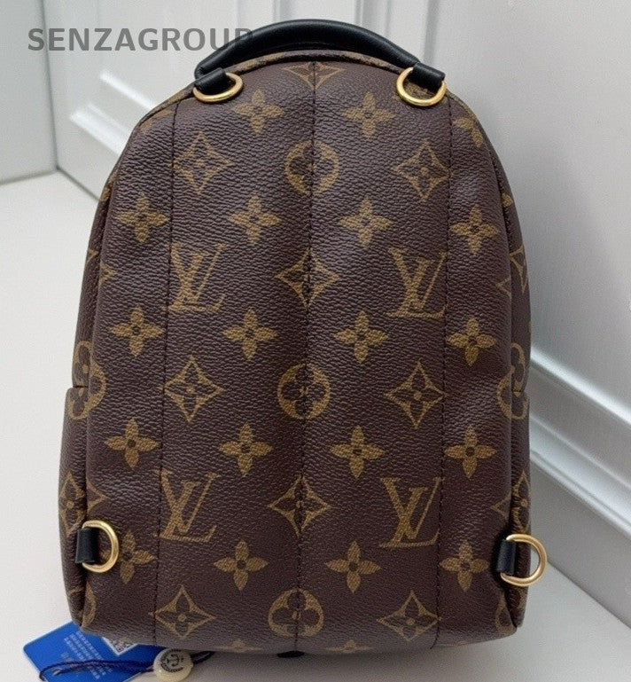 Louis Vuitton Palm Springs Monogram Backpack Women Brown