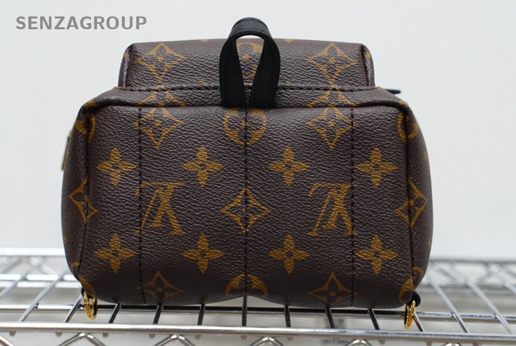 Louis Vuitton Palm Springs Backpack Shoulder bag Almost Brand NEW
