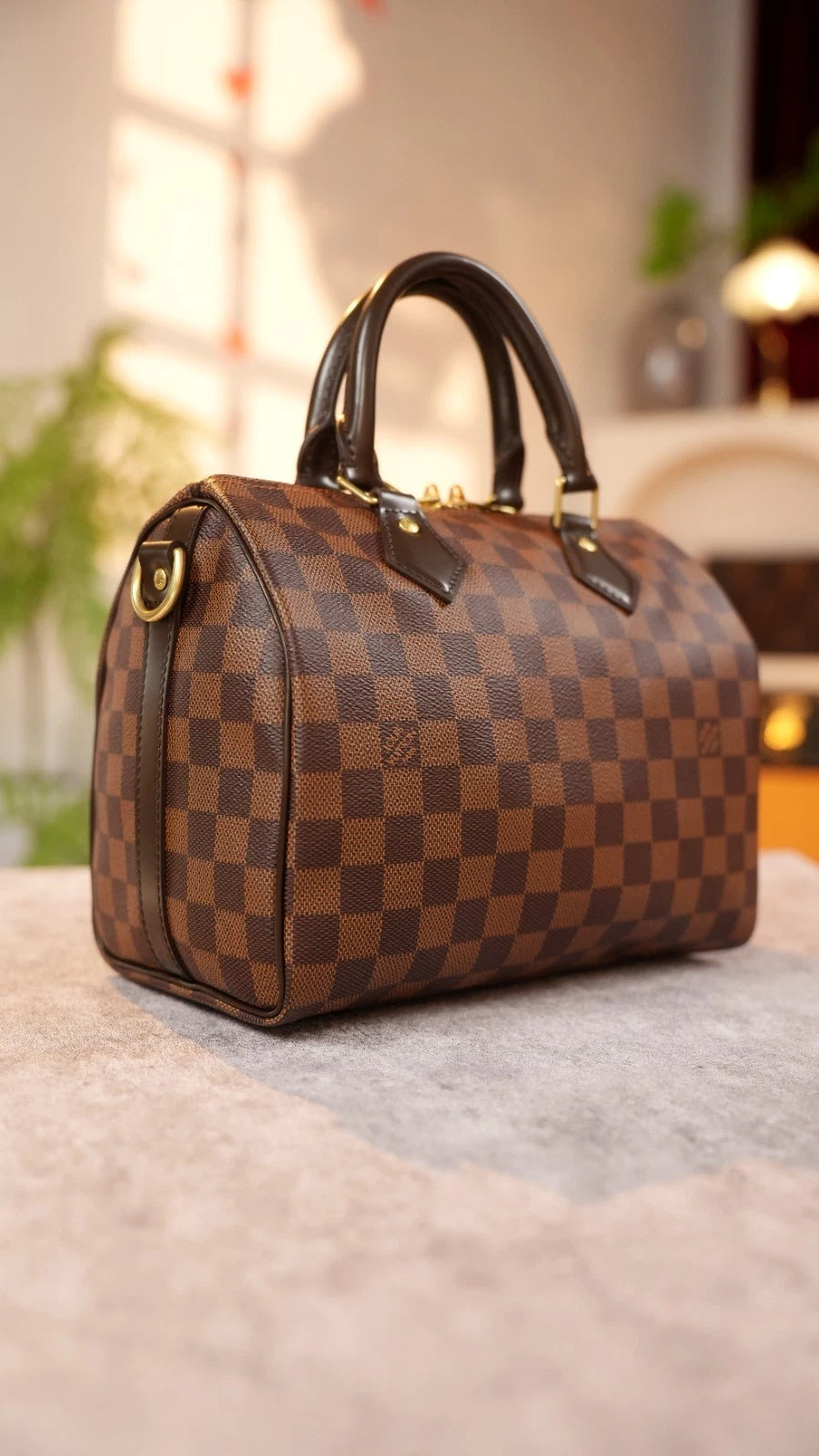 Louis Vuitton Speedy25 Damier Brown Shoulder Bag Top Handle Bag Excellent