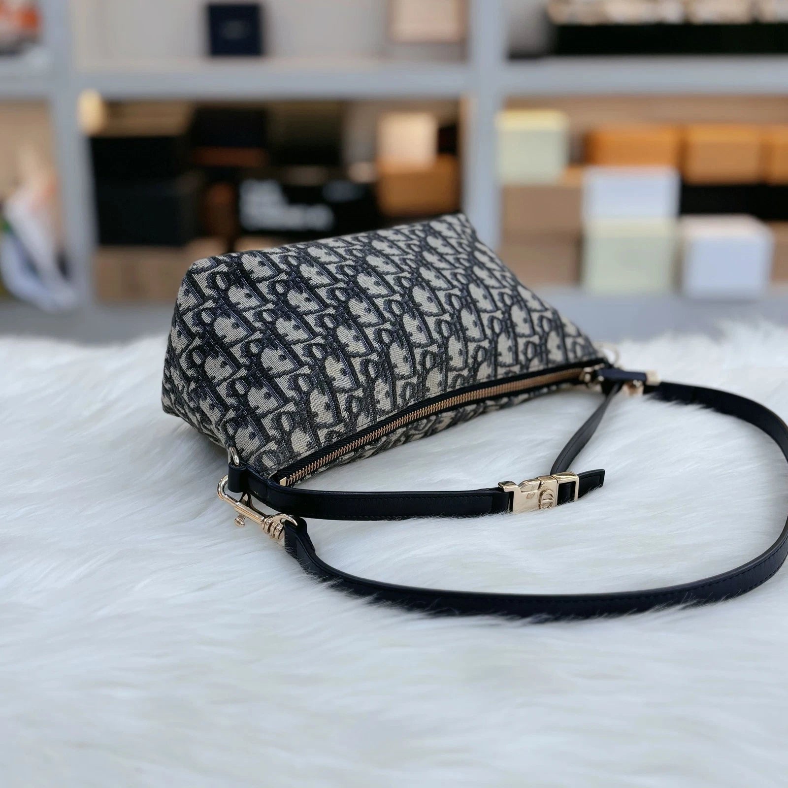 Dior Oblique Embroidered Canvas Lunch Box Bag For Women