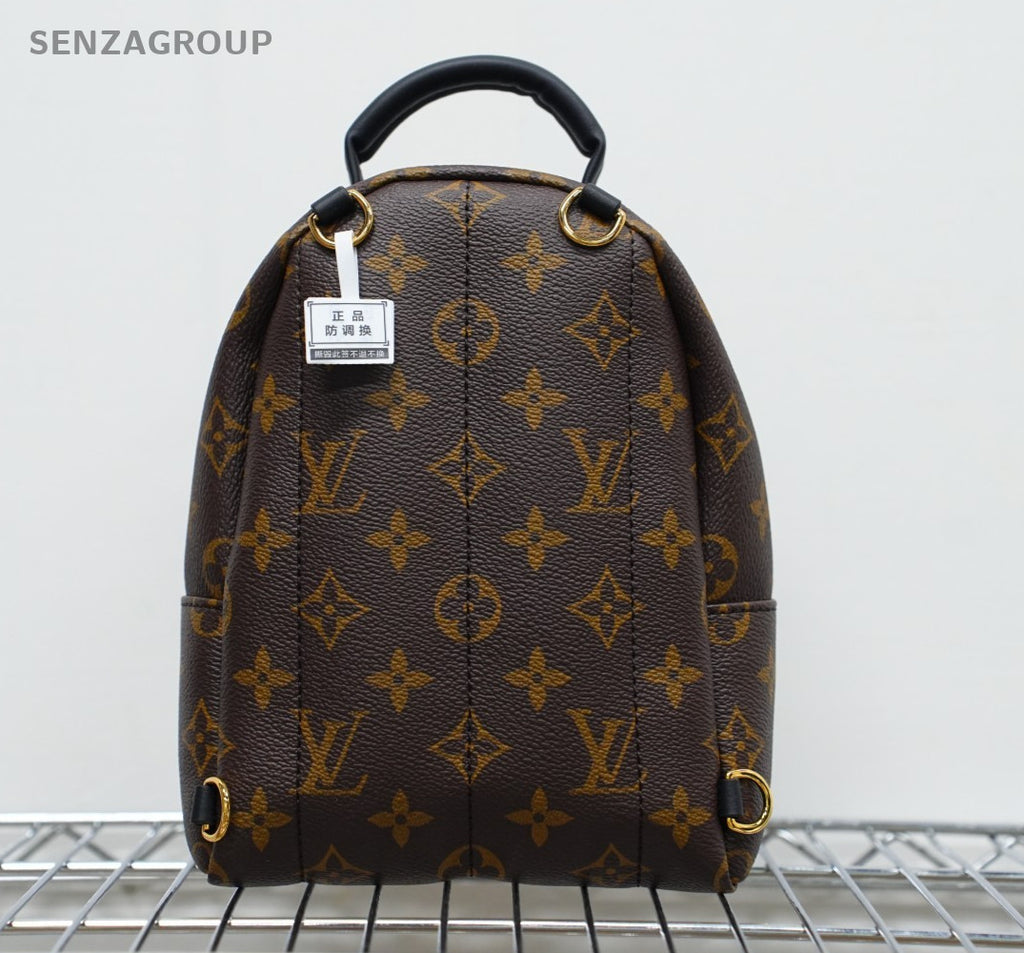 Louis Vuitton Palm Springs Backpack Shoulder bag Almost Brand NEW