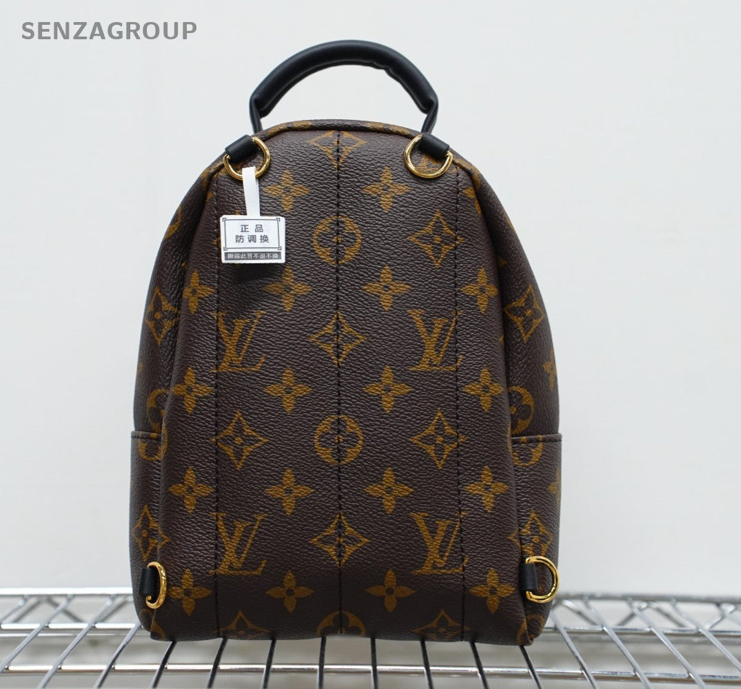 Louis Vuitton Palm Springs Backpack Shoulder bag Almost Brand NEW