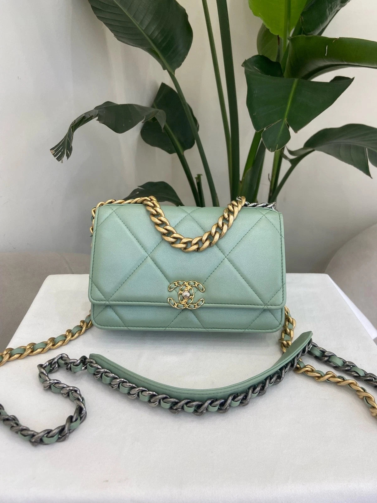 CHANEL Green Mermaid 19Bag WOC Crossbody Bag For Women