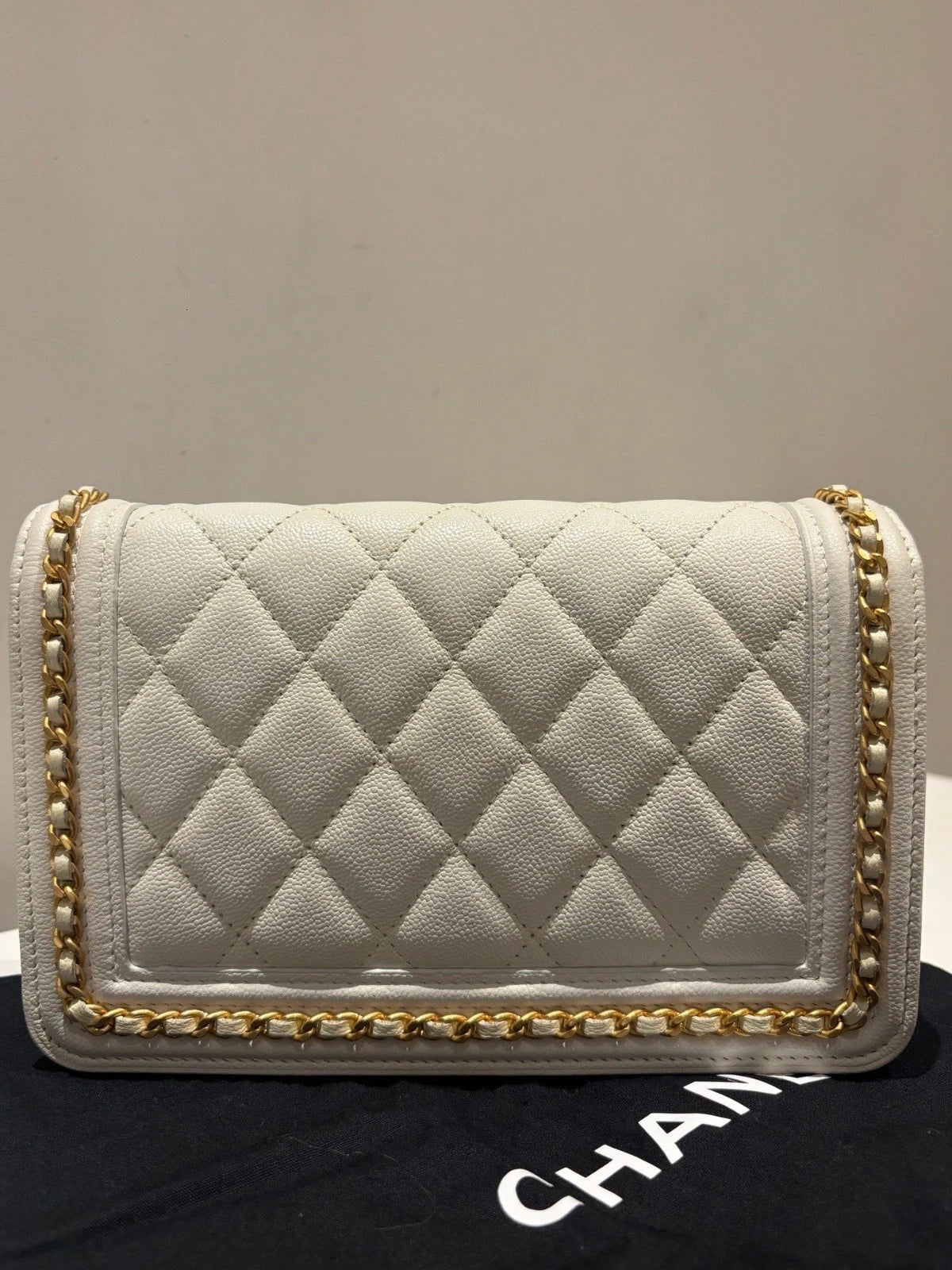 Chanel Leboy Woc Calfskin Shoulder Bag Crossbody Bag White Women Fashion