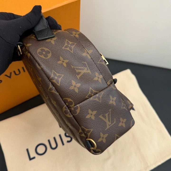 Louis Vuitton Palm Springs Mini Monogram Backpack Brown Gold Unisex Adults D