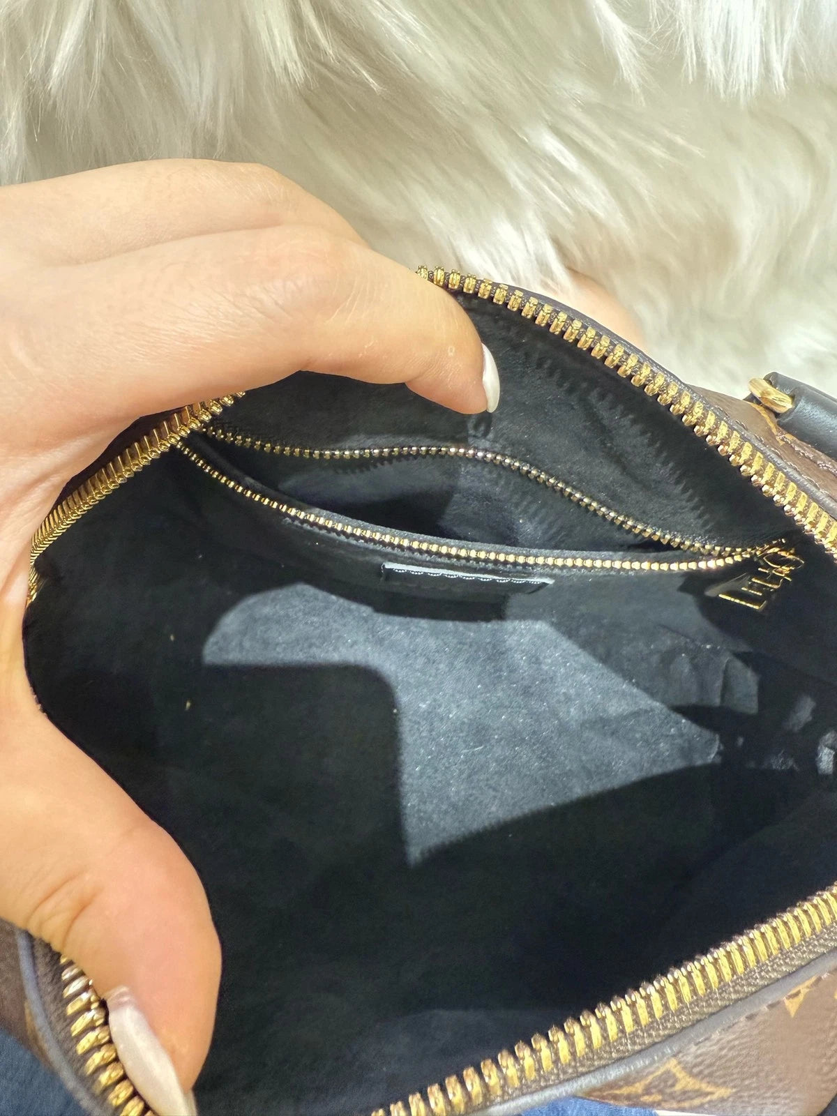 Louis Vuitton Women's Octagonal Chip Version Bag With Invoice