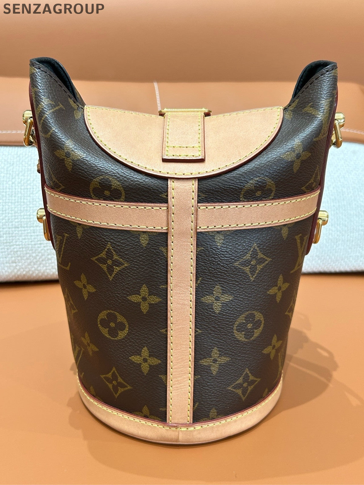 Louis Vuitton Monogram French Fries Bag Brown Handbag Crossbody Women