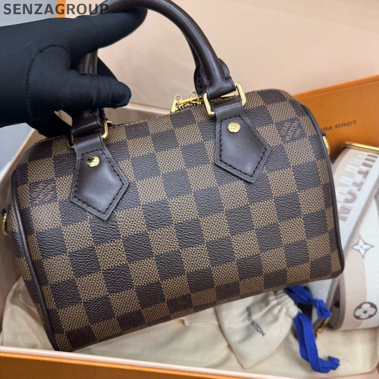 Louis Vuitton Damier Ebene Speedy 20 Handbag - Classic Women's Bag