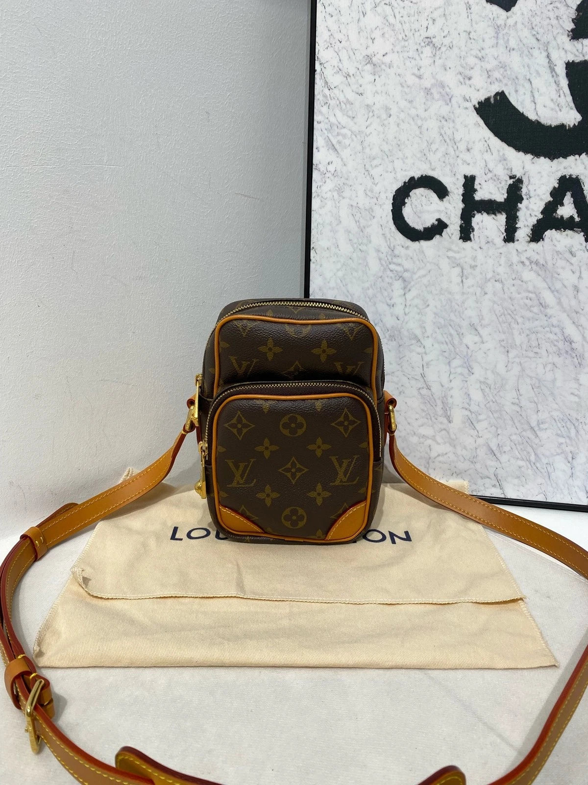 Louis Vuitton Amazone Double Layer Crossbody Camera Bag For Women