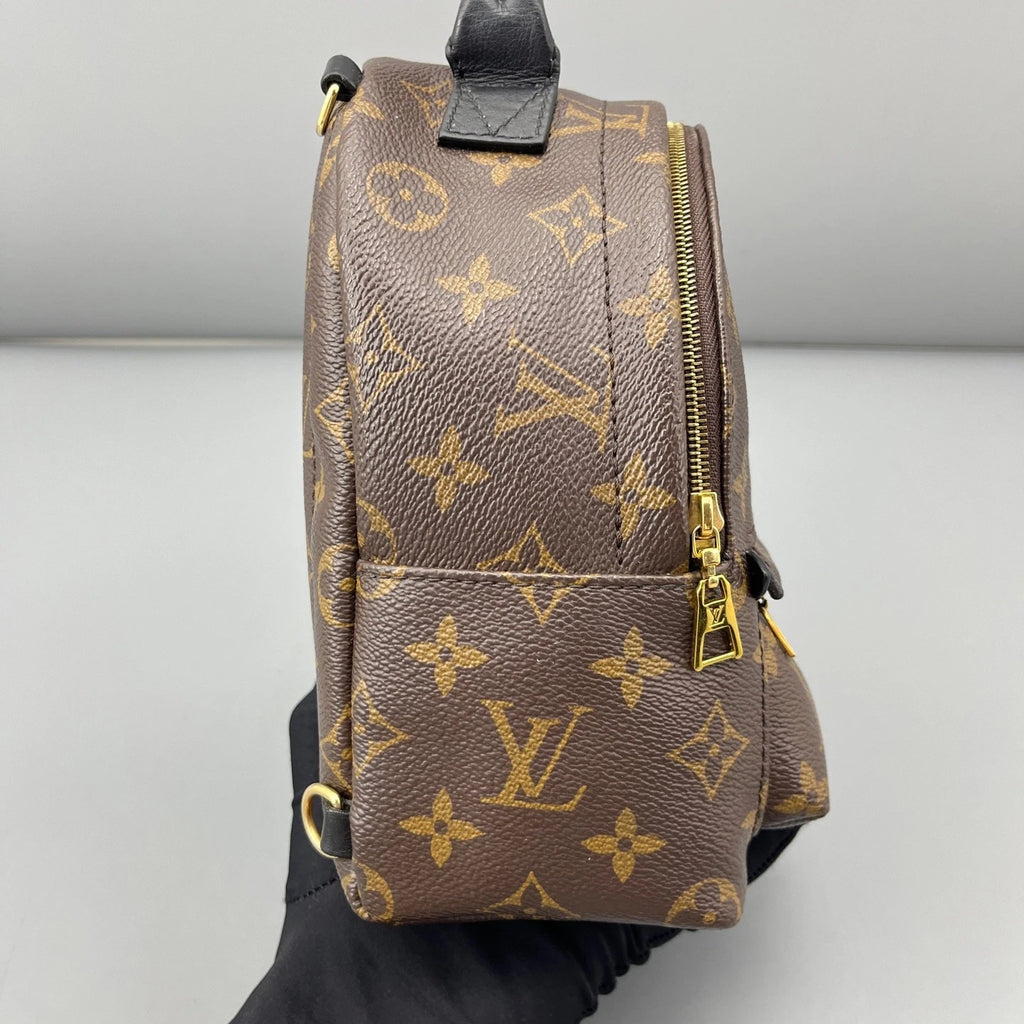 Louis Vuitton Palm Springs Monogram Brown Top Handle Backpack Excellent