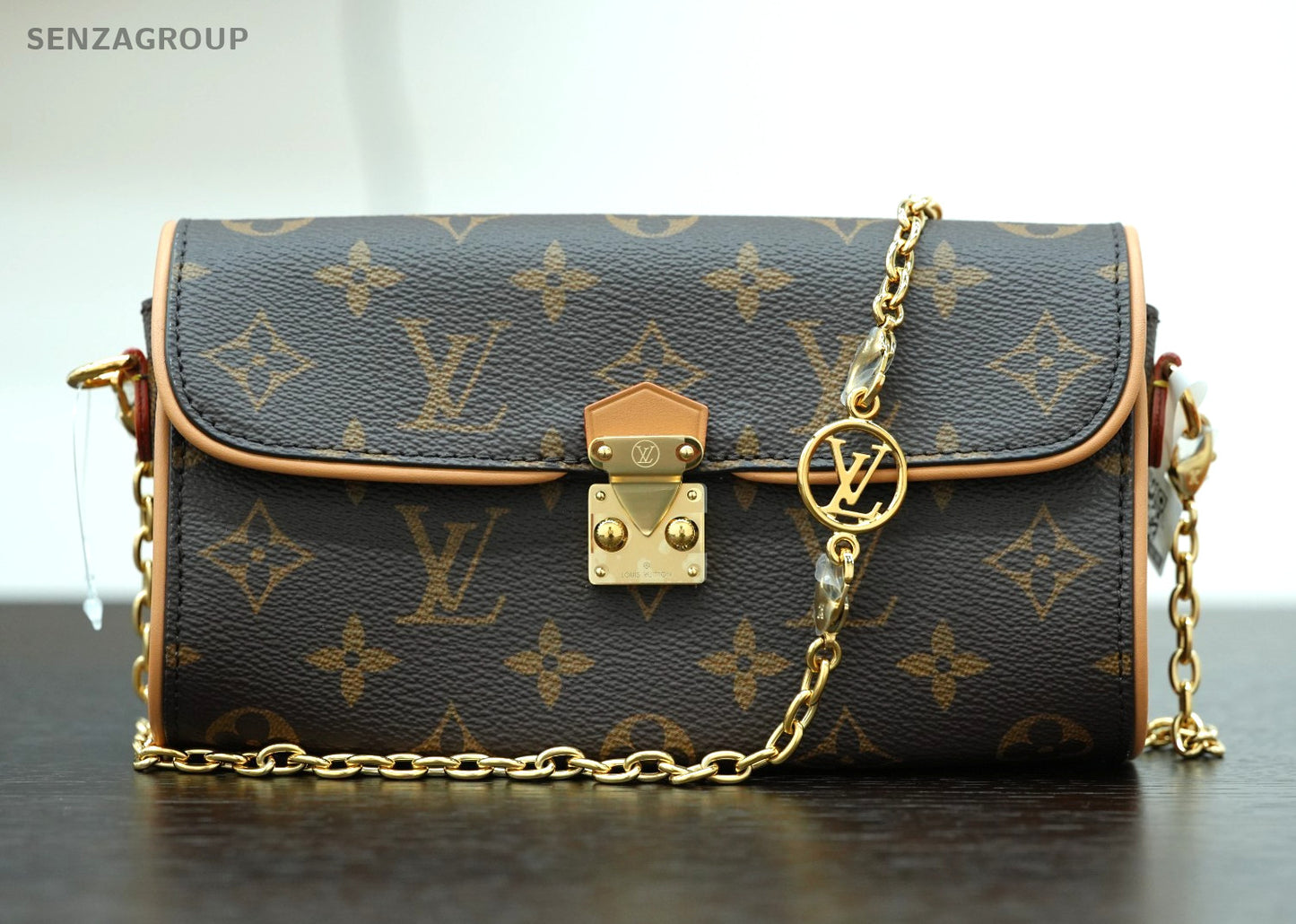 Louis Vuitton Pochette Camille Monogram Chain Shoulder bag Brown Women M13566