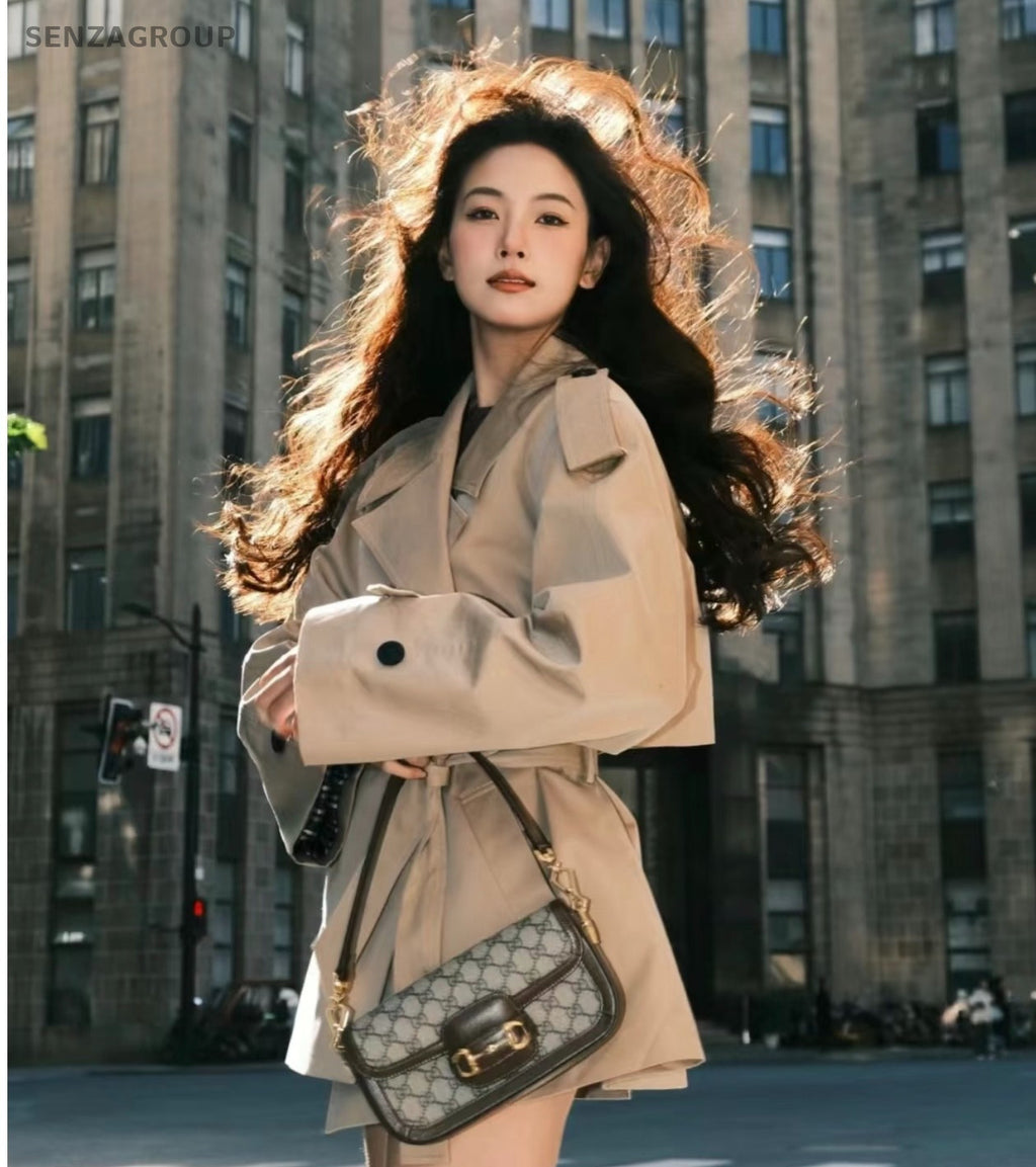 Gucci Horsebit1955 Chain Handbag Shoulder Bag Brown Gold Women Classic