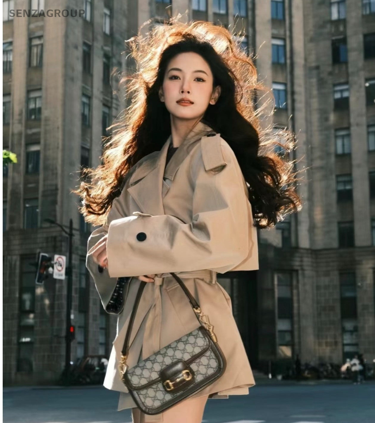 Gucci Horsebit1955 Chain Handbag Shoulder Bag Brown Gold Women Classic