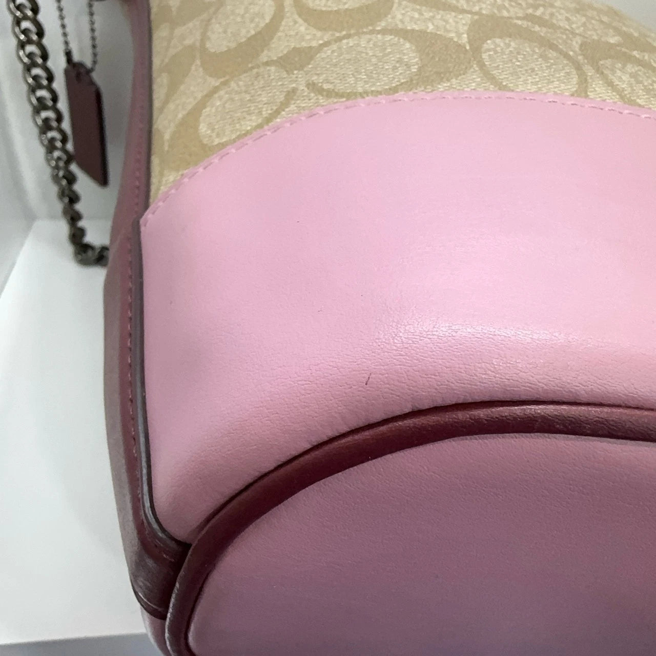Coach Disney Sleeping Beauty Canvas Print Bucket Crossbody Bag For Women Beige
