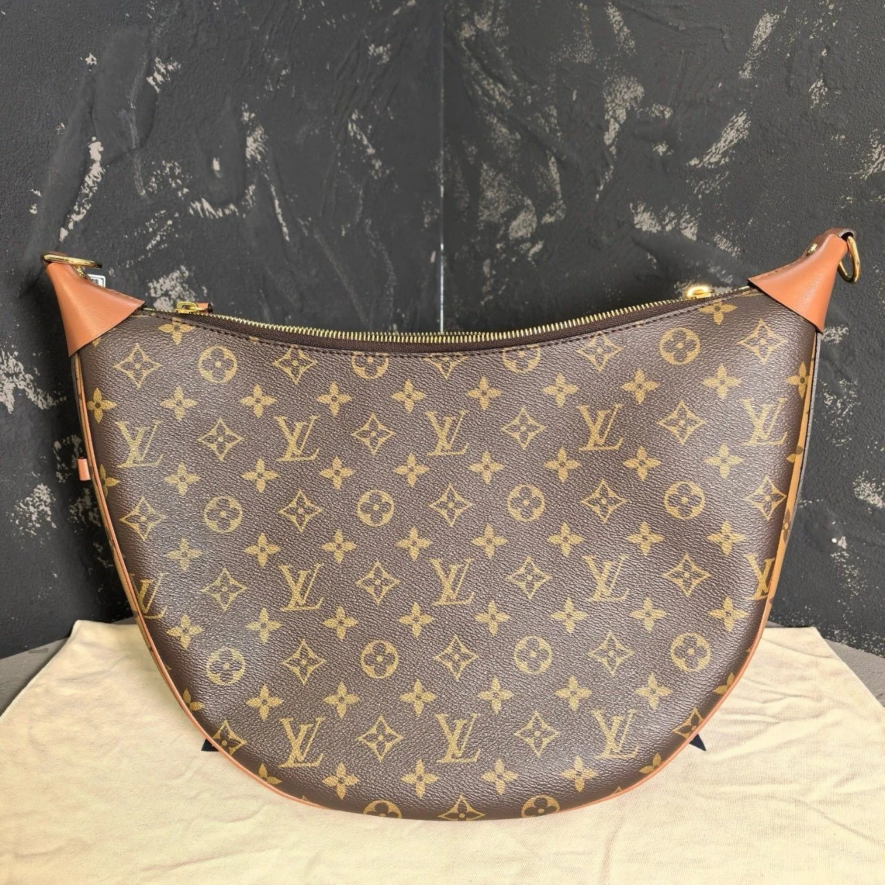 Louis Vuitton Canvas Moon Shoulder Bag For Women