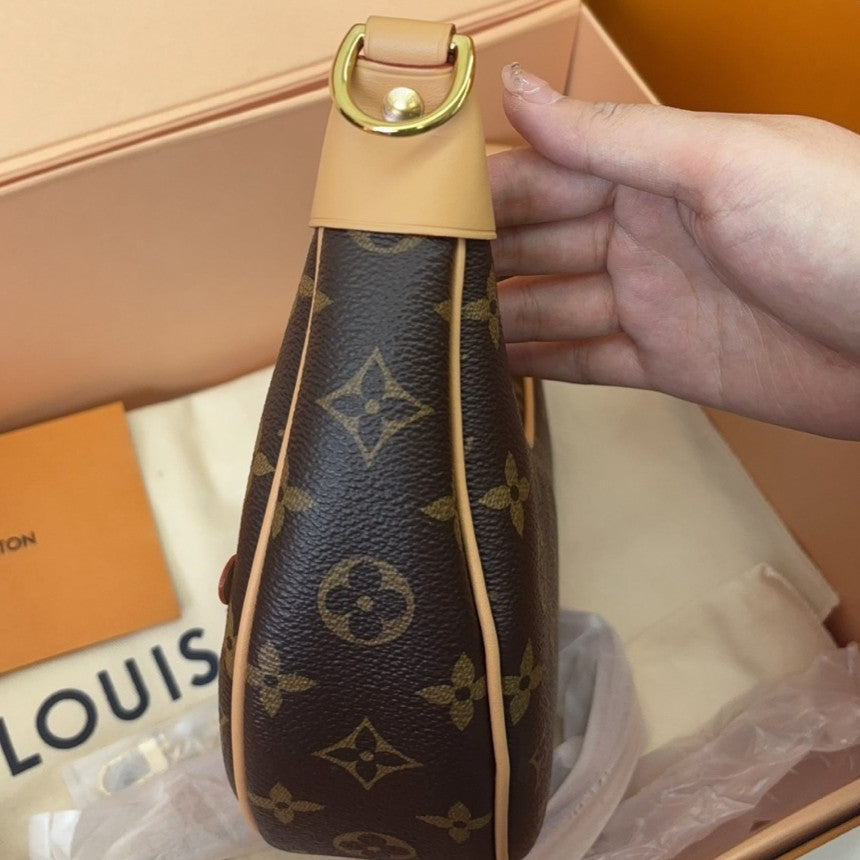 Louis Vuitton Monogram Pochette Accessoires Brown Gold Women's Classic Bag