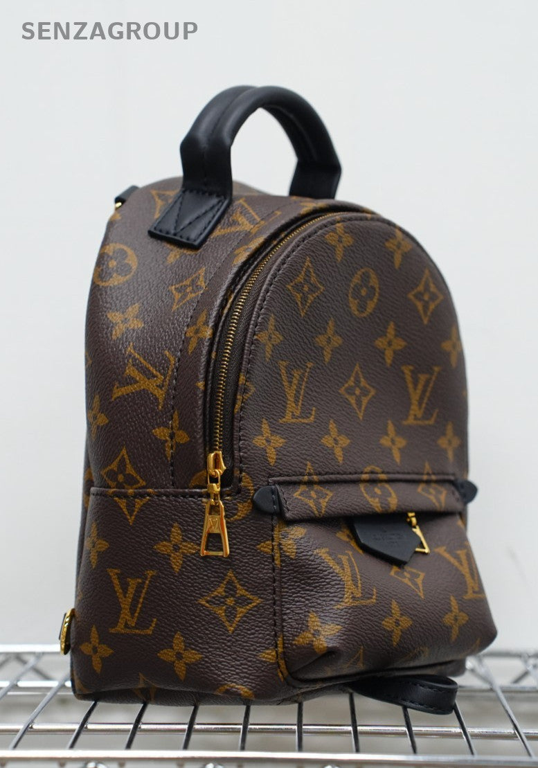 Louis Vuitton Palm Springs Backpack Shoulder bag Almost Brand NEW