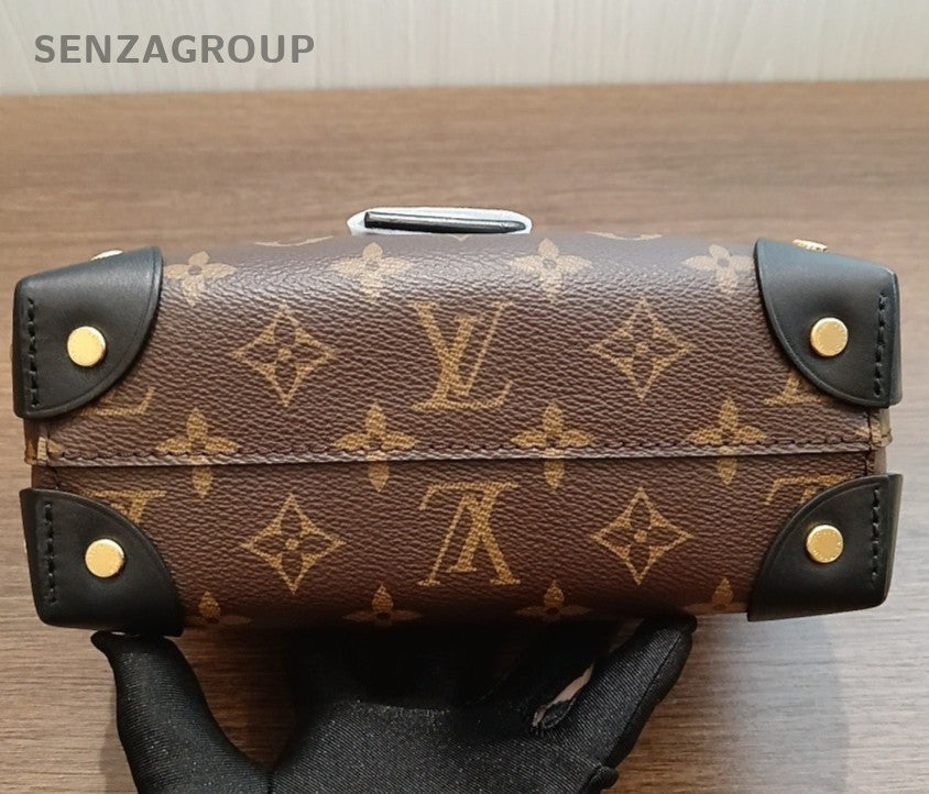 Louis Vuitton Monogram Soft Box Top Handle Bag Shoulder Bag Crossbody Women