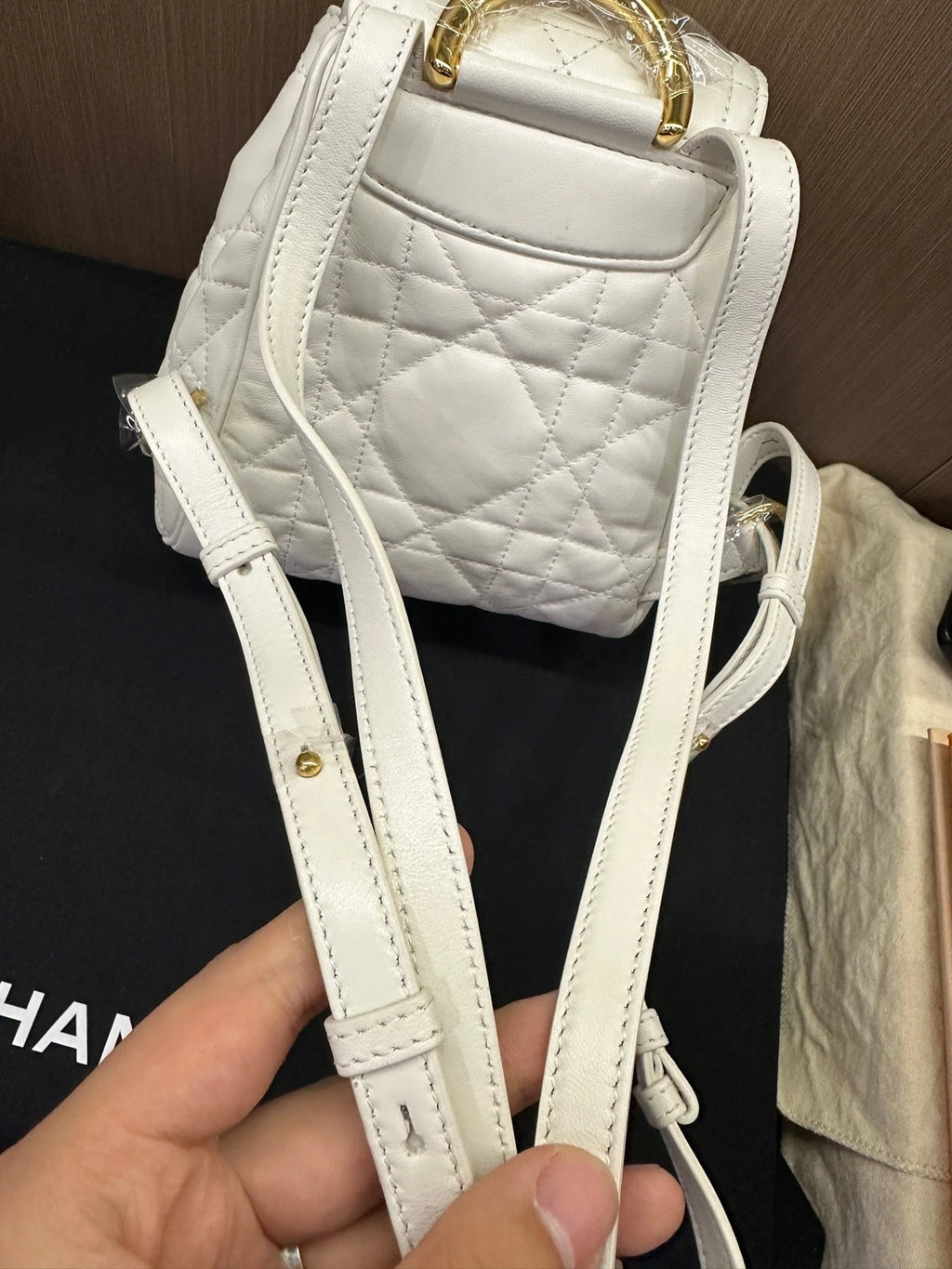 Dior Caro Small Calfskin Backpack For Women, Brand New Unused