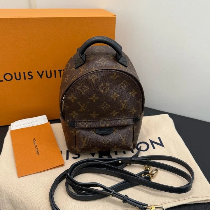 Louis Vuitton Palm Springs Mini Monogram Backpack Brown Gold Unisex Adults D