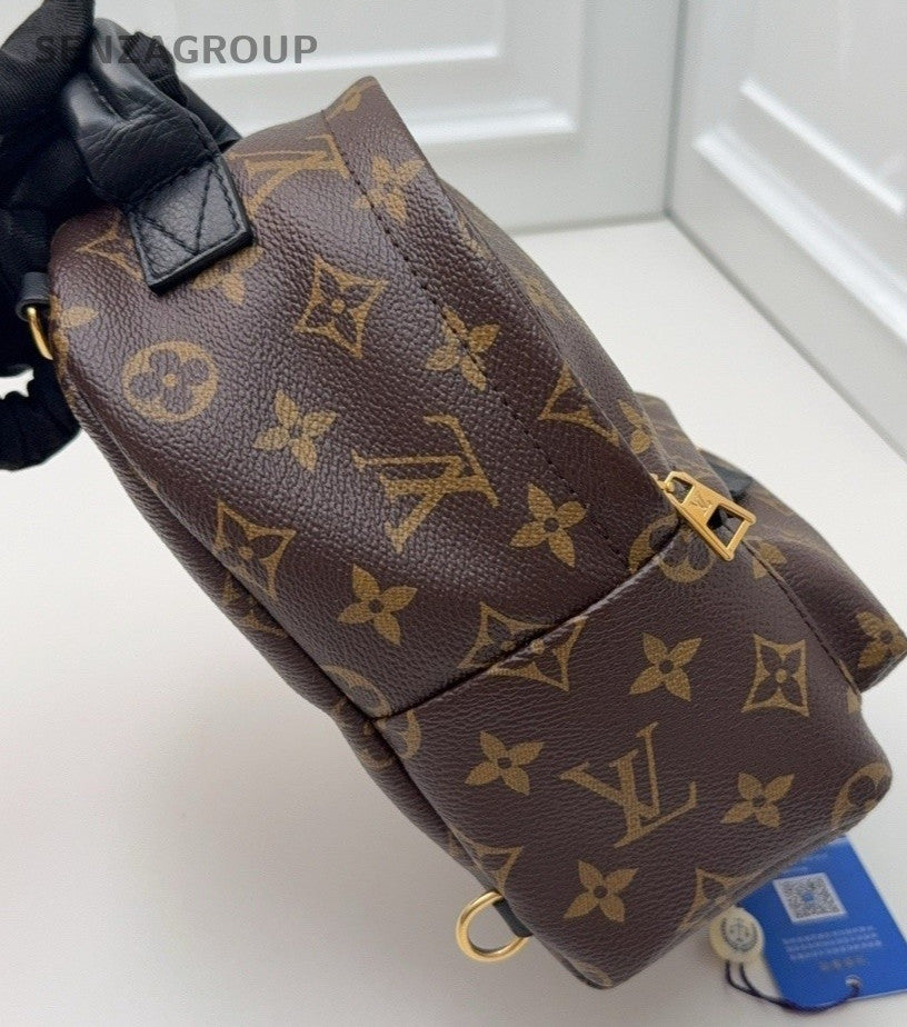Louis Vuitton Palm Springs Monogram Backpack Women Brown